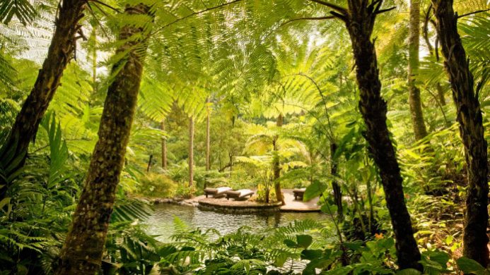 COMO Shambhala Estate spa lounges surrounded by lush jungle