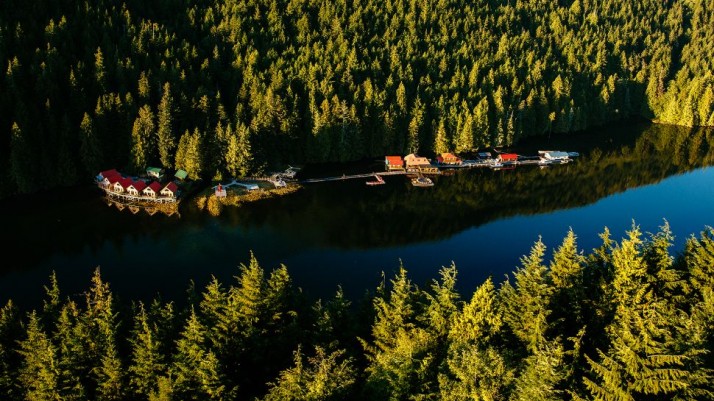 Nimmo Bay Resort aerial view of hotel amidst trees