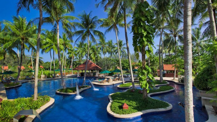 pool and palm trees