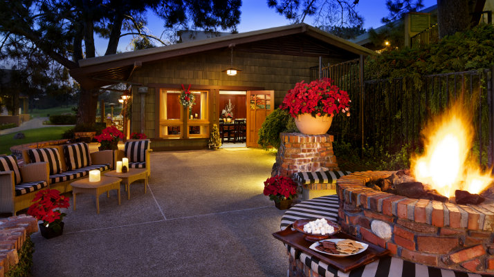 fire pit with smores ingredients