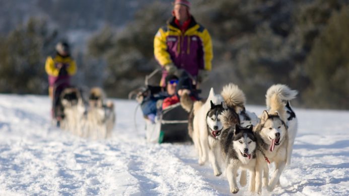 7 Hotels With Unique Winter Activities