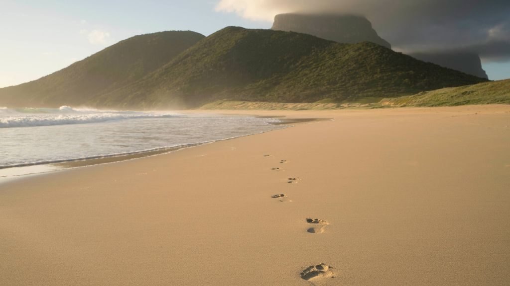 footprints in the sand
