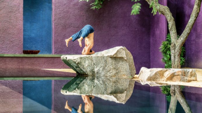 yogi on rock in reflecting pool