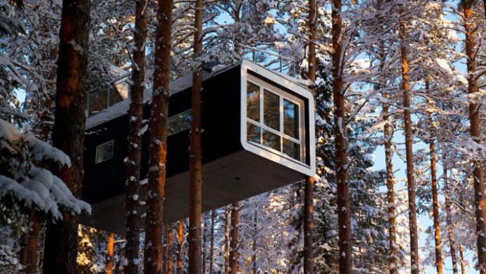 luxury treehouse and snow-covered trees