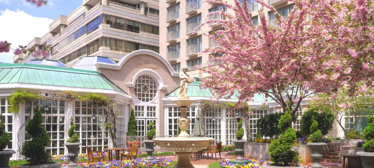 Where to Go for all the Cherry Blossoms