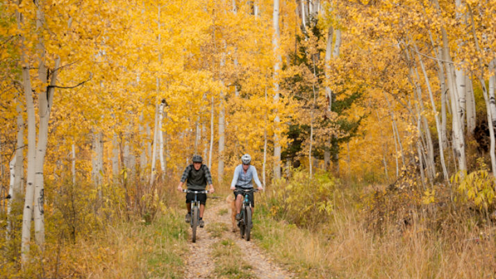 Lumière Telluride couple riding bicycles in forest path