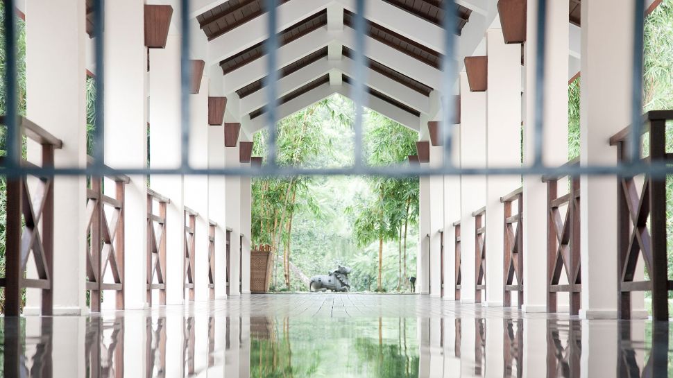 Ananda in the Himalayas