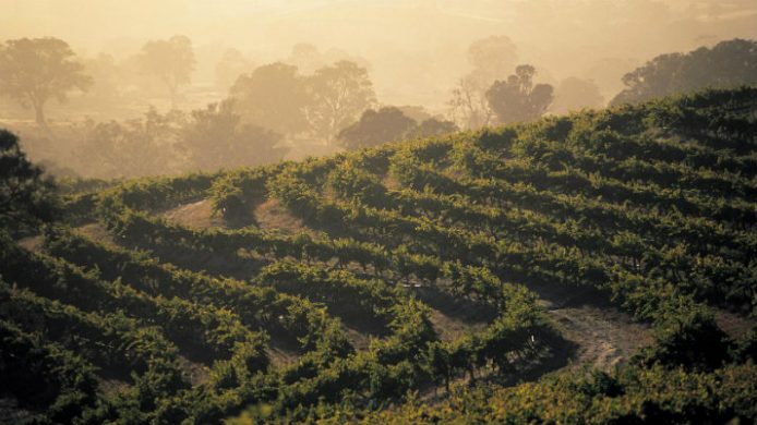 Australian wine