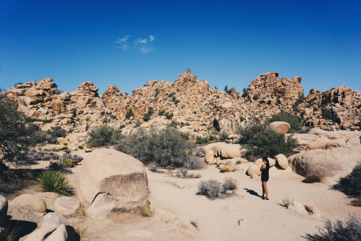 Joshua Tree