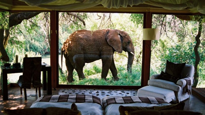 Sanctuary Makanyane Safari Lodge