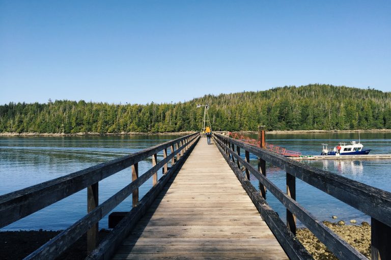 Tofino dock