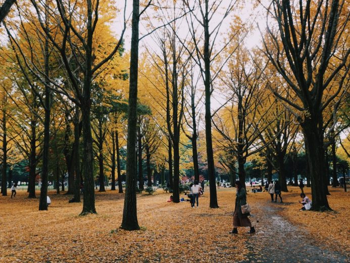 Yoyogi tokyo