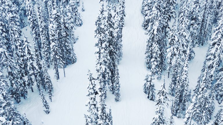 Whistler Wonderland