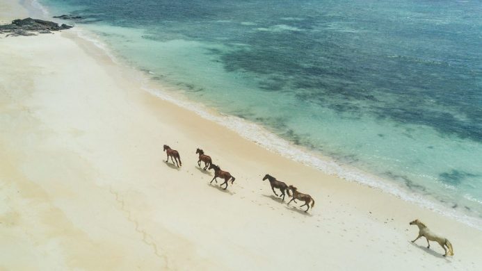 Turtle Island Fiji honeymoon