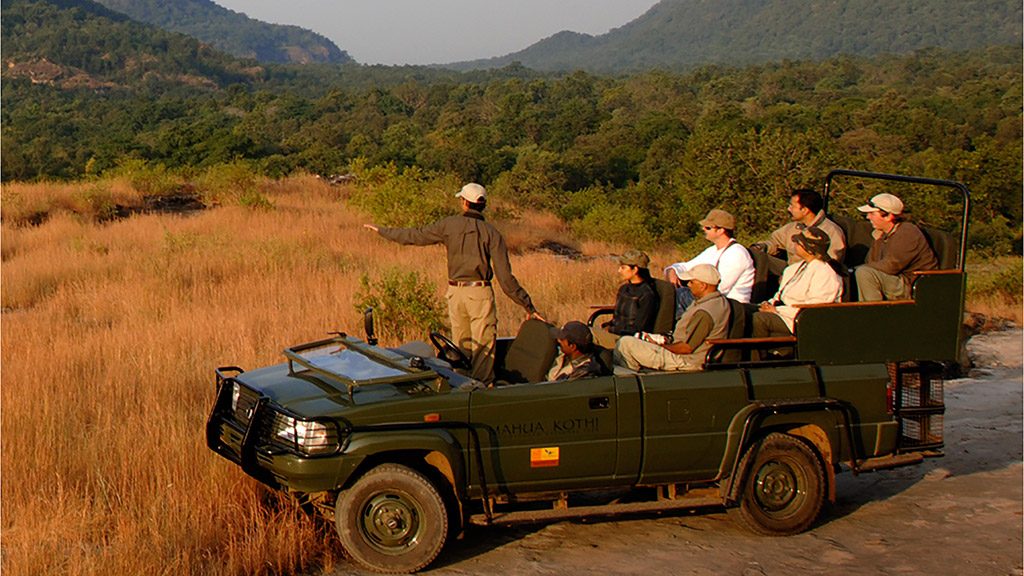 Prowl for Tigers in India