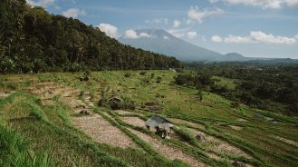 Bali Tracel Diary featured image