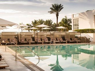 Pool deck with row of loungers and palm trees in the background