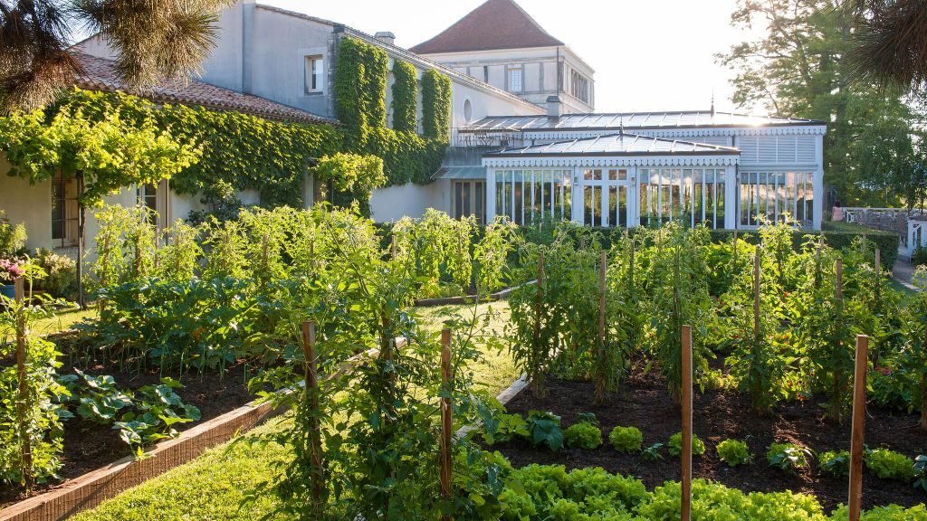 Grape vines in front of hotel with sun room