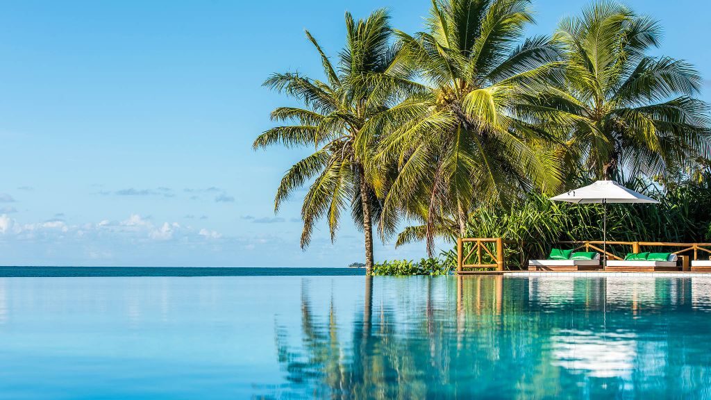Reflecting infinity pool with lounge chairs and big palm trees looking out to ocean