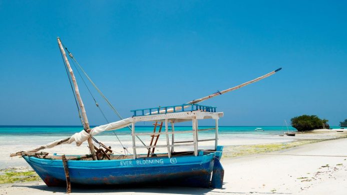 Boat on the shore