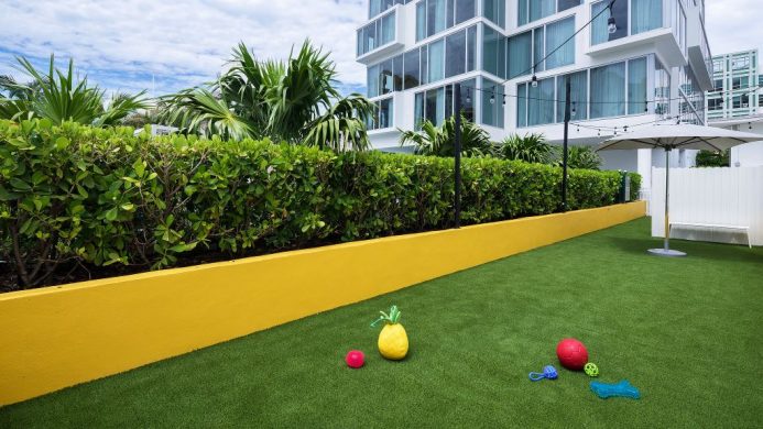 Hyatt Centric South Beach dog-friendly