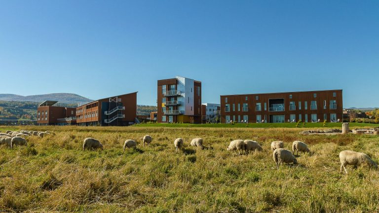 Eat Local at These Farm-to-Table Hotels