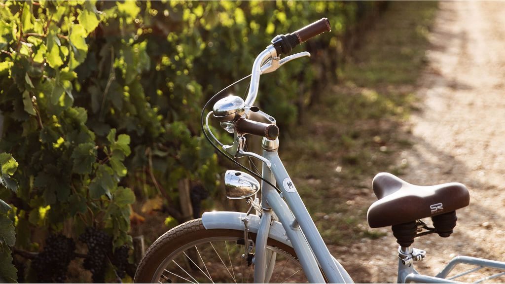 Bike in the vineyards