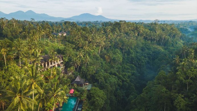 Hotel and infinity pool nestled in the jungle