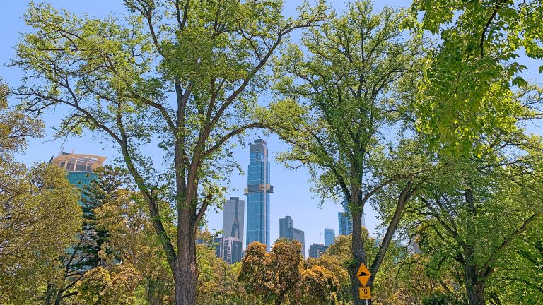 Destination Guide to Melbourne