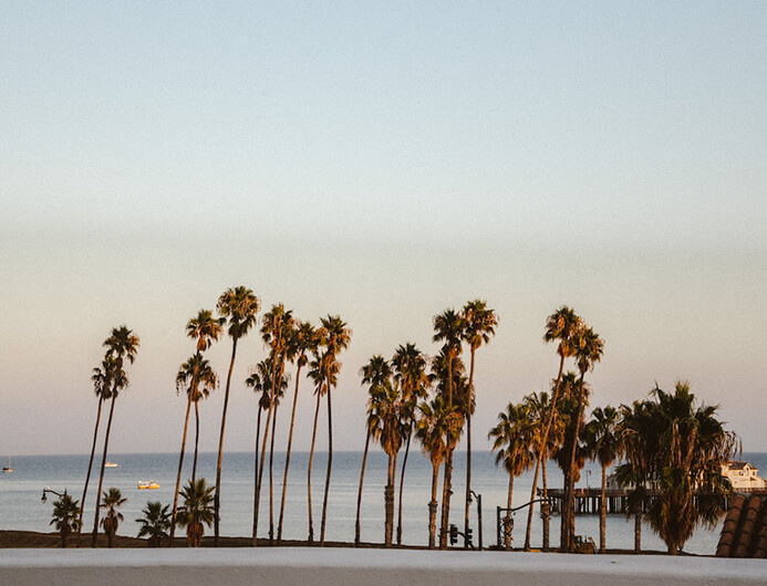 Hotel Californian by Michelle Halpern