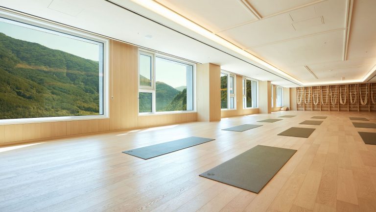 Wellness Travel 2020