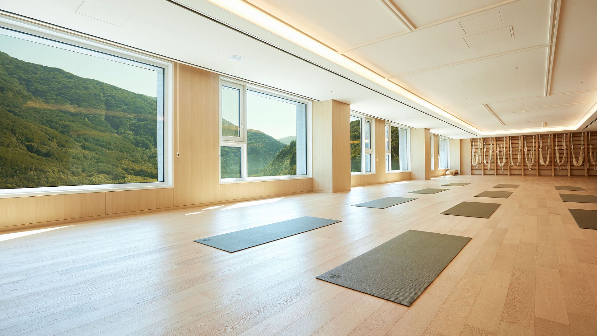 Wellness Travel 2020