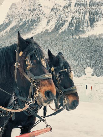 Lake Louise