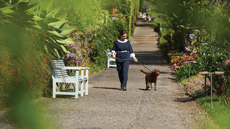 Dog walker at Belmond Reid's Palace