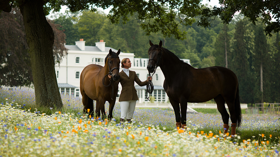 Rider with two horses in front of Coworth Park