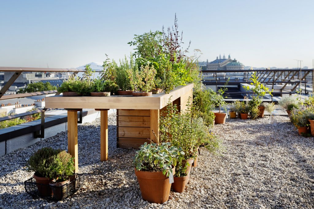Mandarin Oriental Paris' rooftop garden
