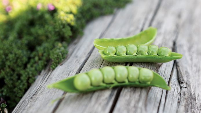 Peas in a pod in the garden of The Saxon Hotel Villa & Spa