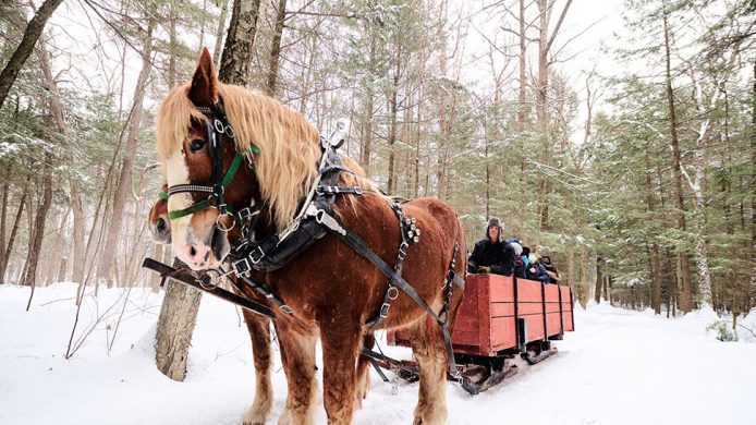 Horse-drawn carriage riding through snow at the Fairmont Le Château Montebello