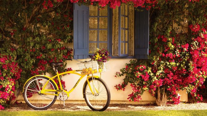 Where All the Prettiest Spring Flowers Bloom