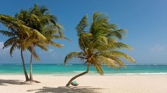 Mukan Resort's empty beach with two swaying palm trees