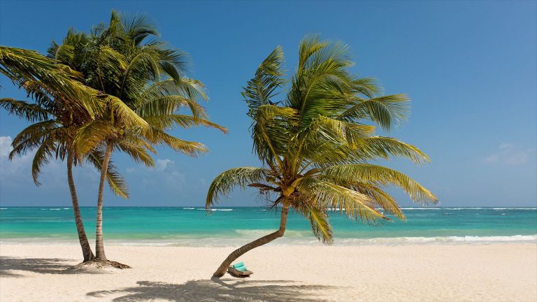 Mukan Resort's empty beach with two swaying palm trees
