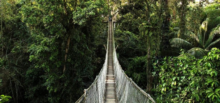 Inkaterra Reserva Amazonica