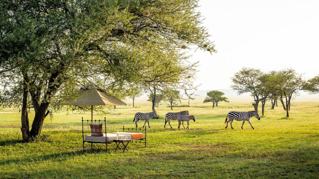 Zebras next to outdoor bed at Singita Grumeti Sabora Tented Camp