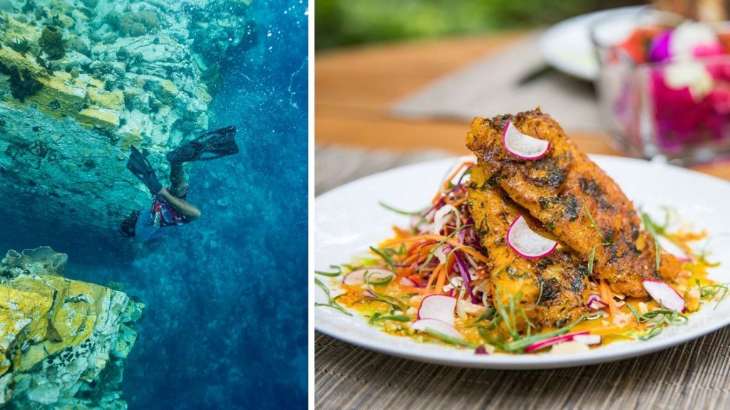 Diving fisher and a plated lionfish dish at Secret Bay resort in Dominica