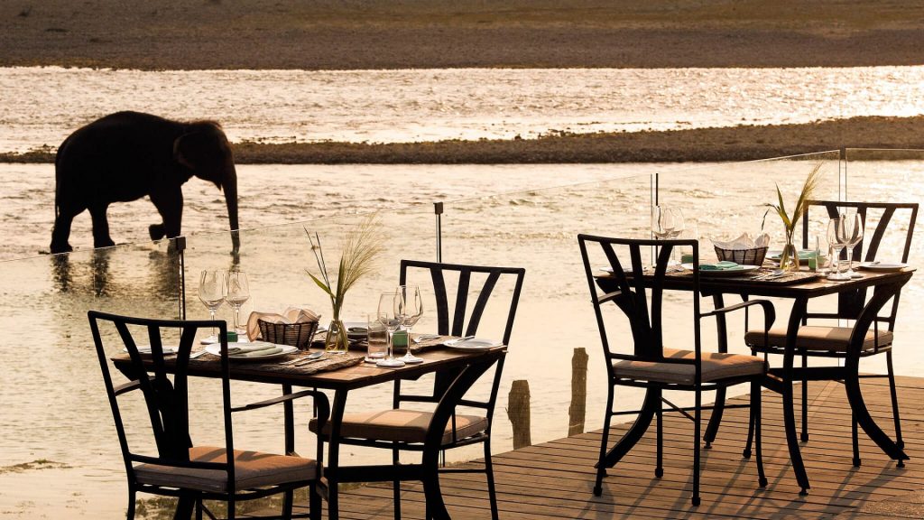 Elephant walking along the riverbank in front of al fresco dining at Meghauli Serai hotel