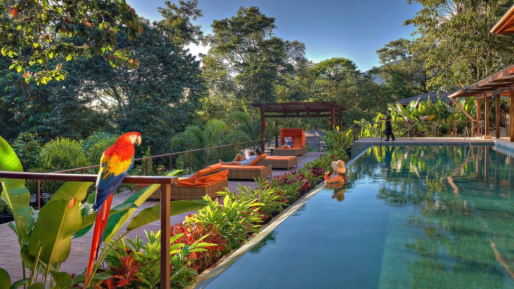 Colorful toucan perched next to outdoor pool at Nayara Springs resort in the Costa Rican rainforest