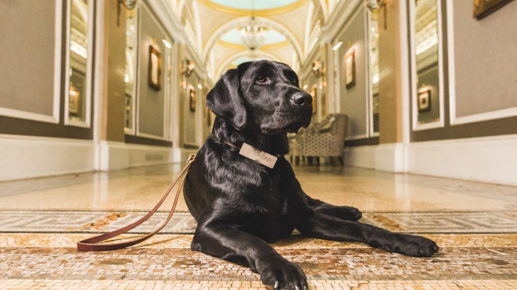 Fairmont Copley Plaza, Boston