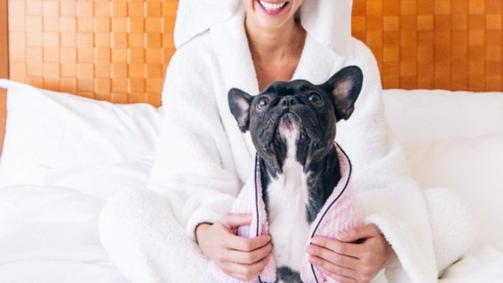 Fontainebleau Miami Beach