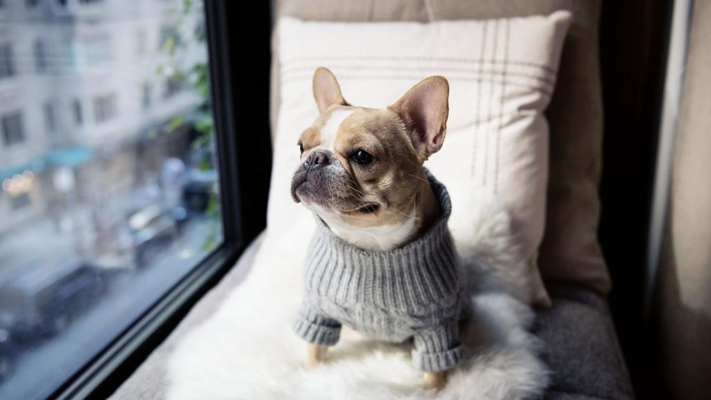 1 Hotel Central Park