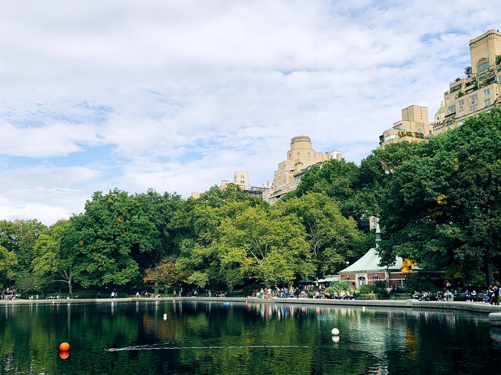 The hotel is walking distance to Central Park